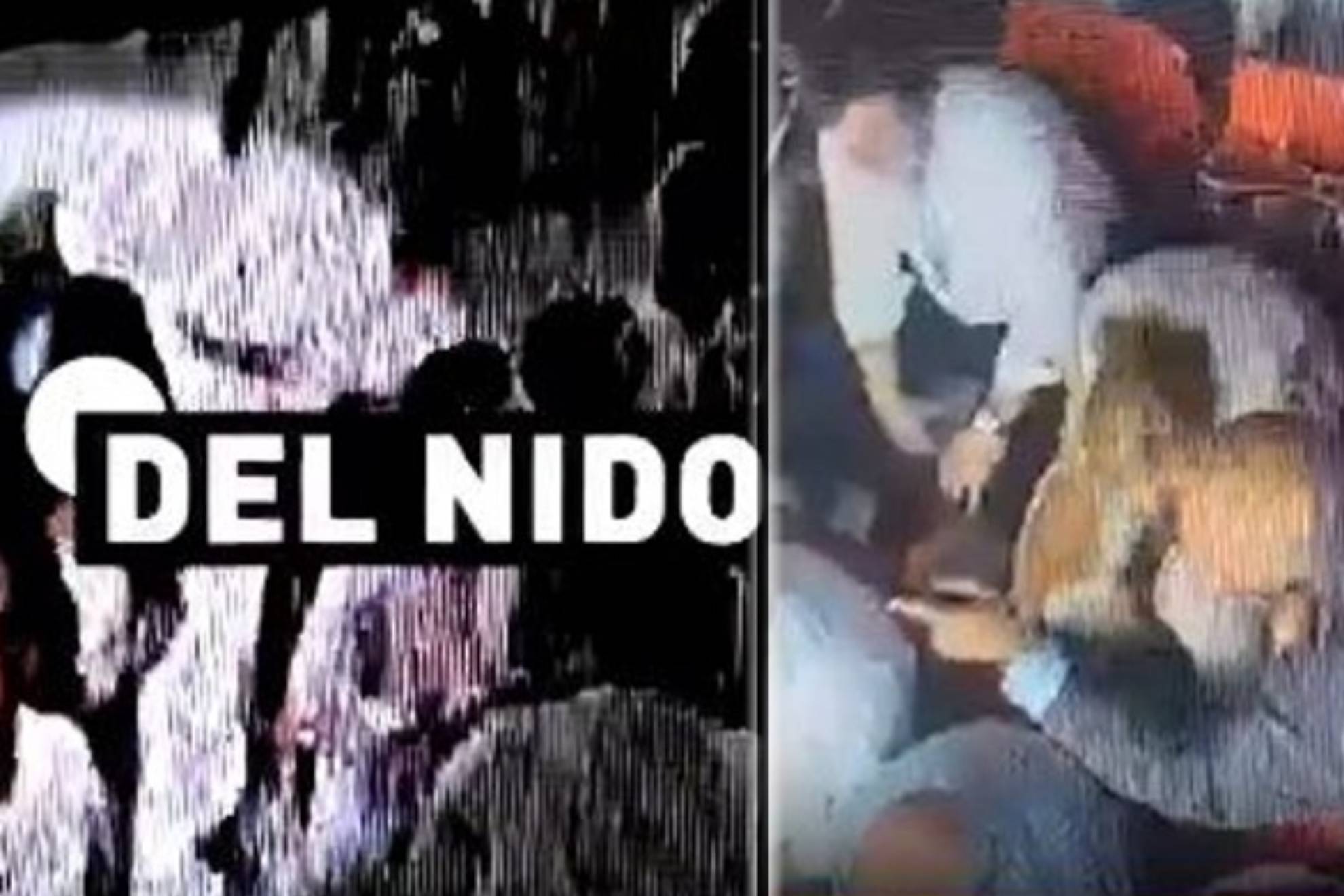 發了共鳴 發了共鳴